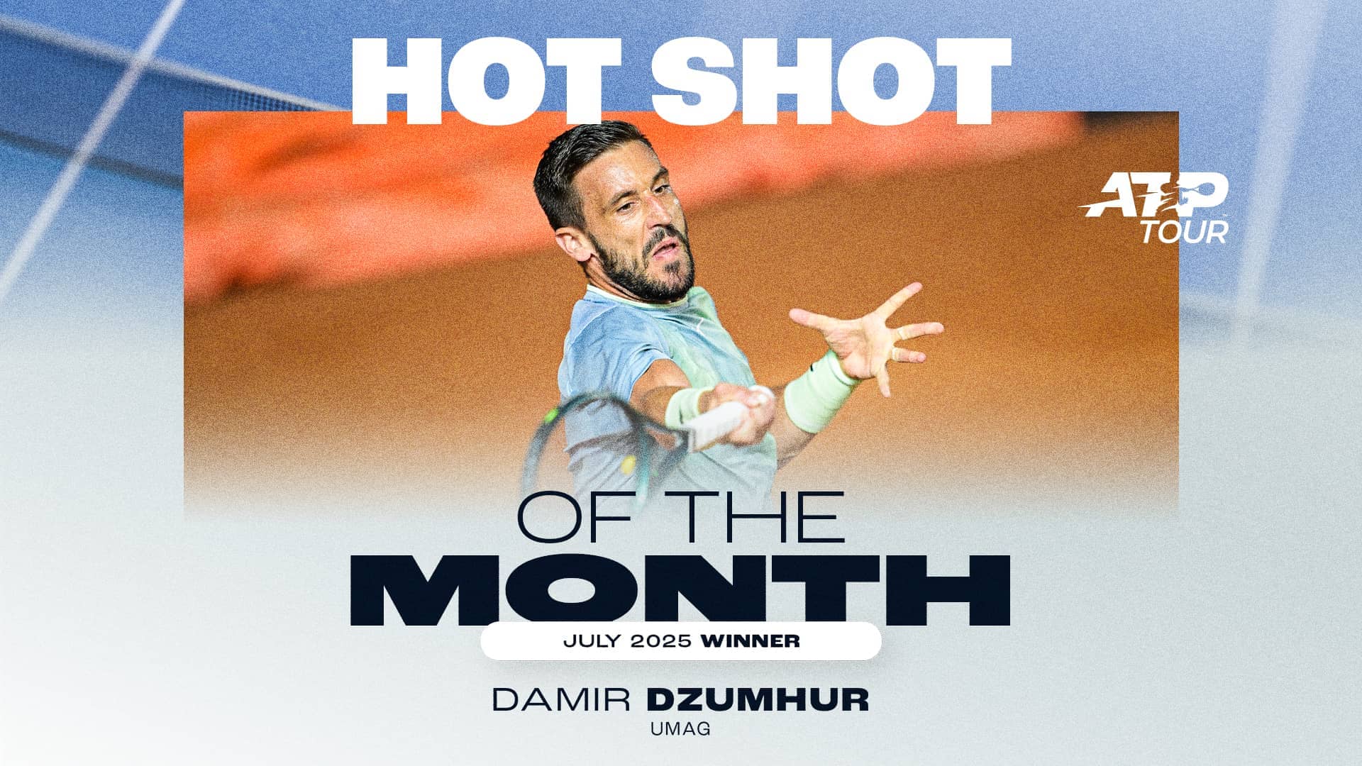 Damir Dzumhur