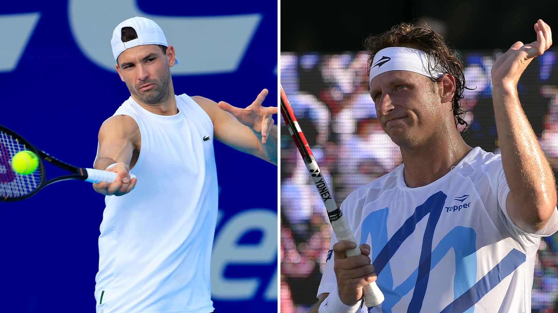 Grigor Dimitrov, David Nalbandian